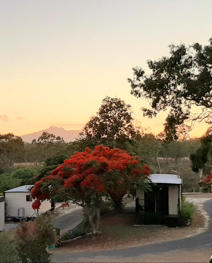 Отель Mt Larcom Tourist Park Mount Larcom Экстерьер фото